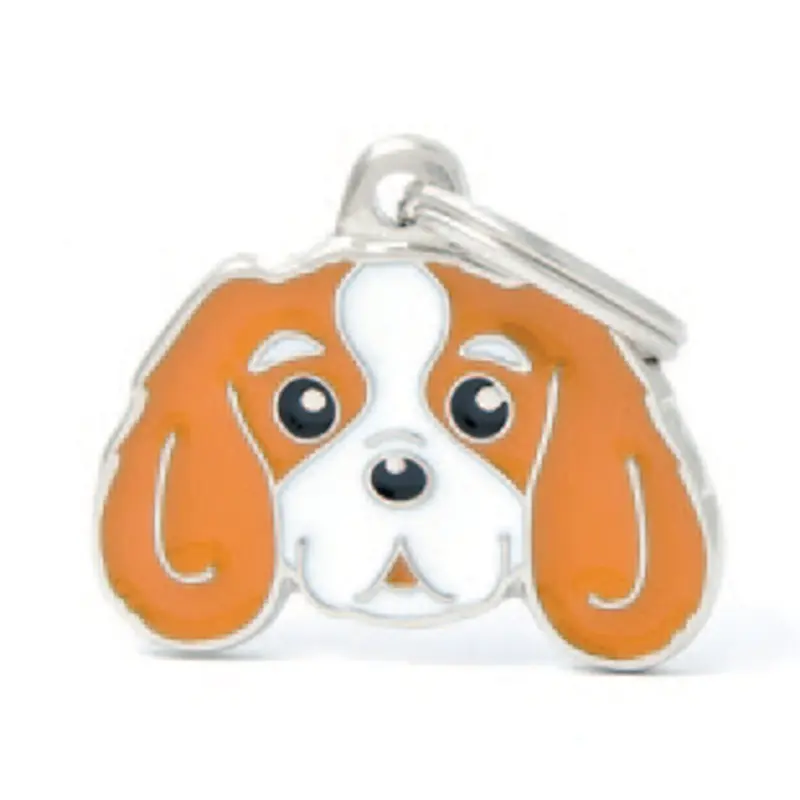 Cavalier King Charles (Blenheim)