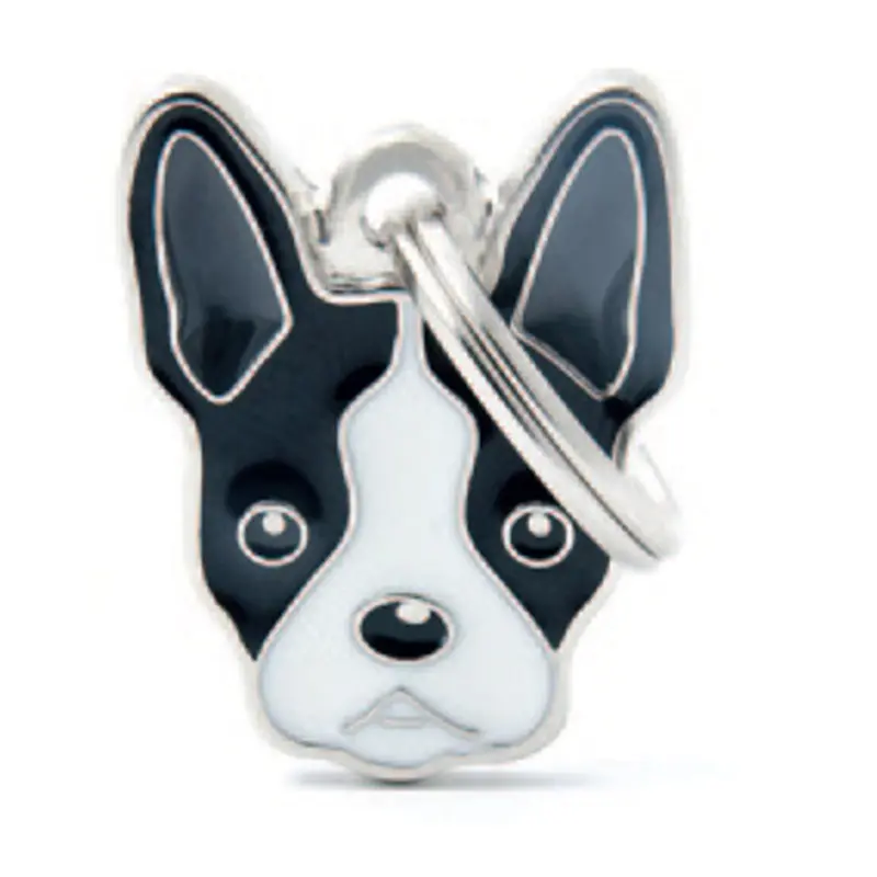 Boston Terrier