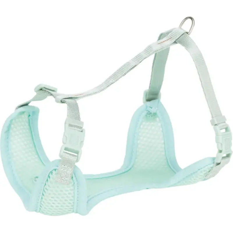 15575 Junior puppy soft harness with leash, L: 3650 cm/10 mm, 2.00 m, mint