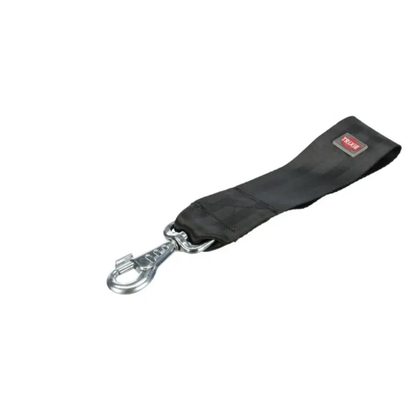 Seatbelt loop, universal