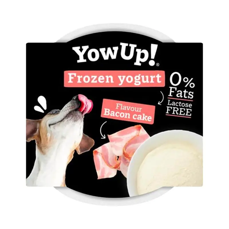 Yow Up Dog Bacon Cake Frozen Yogurt