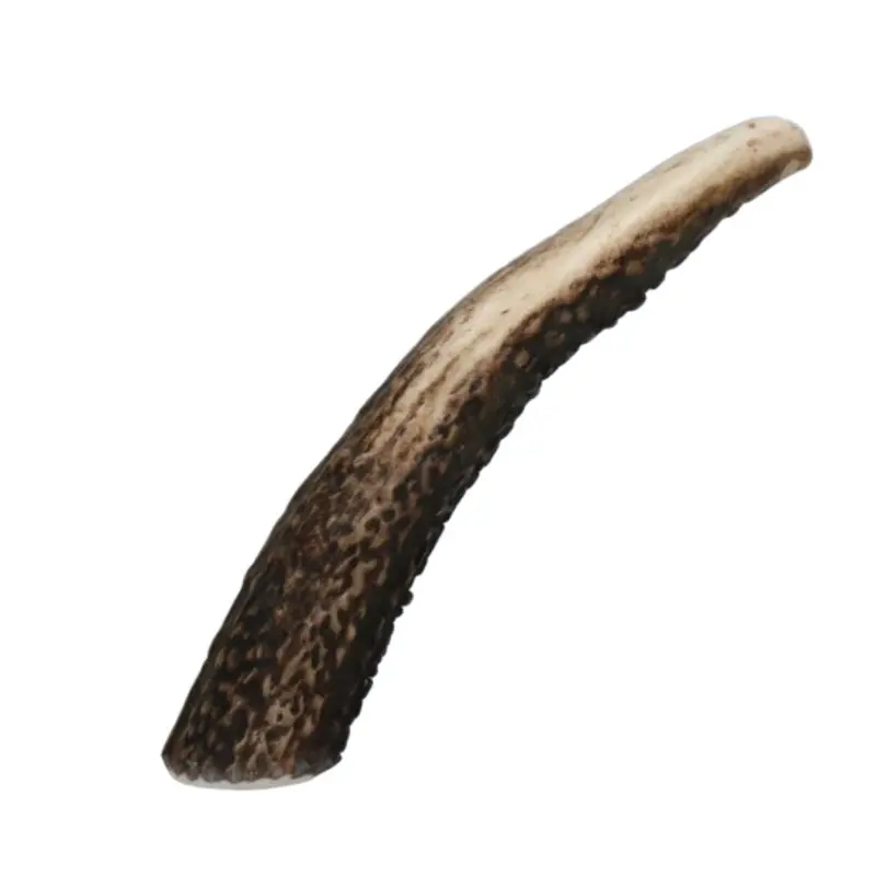 Viking Antler Hard
