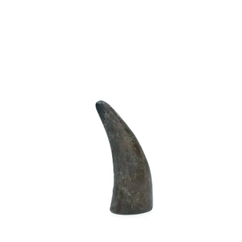 Viking whole Horn - Solid