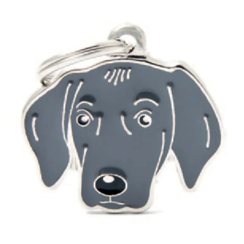 Weimaraner
