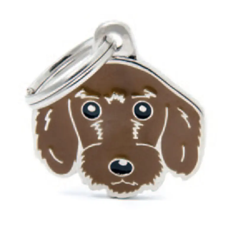 Wire-Haired Dachshund (Fawn)