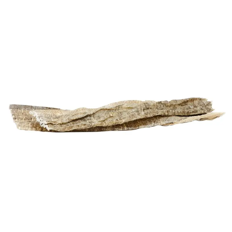 Gunnis Taste of Iceland Cod Skin Strips 8 Inch Dog Treat 1 Pack :->>