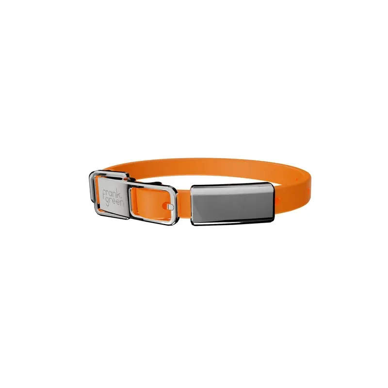 frank green Neon Orange Dog Collar and Tag Small