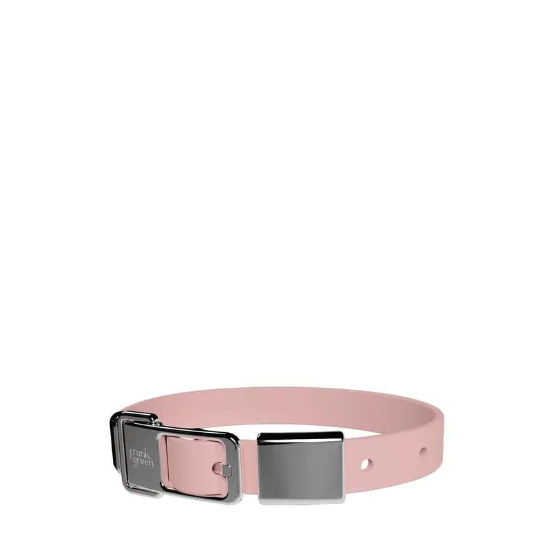 frank green Blushed Dog Collar and Tag Medium