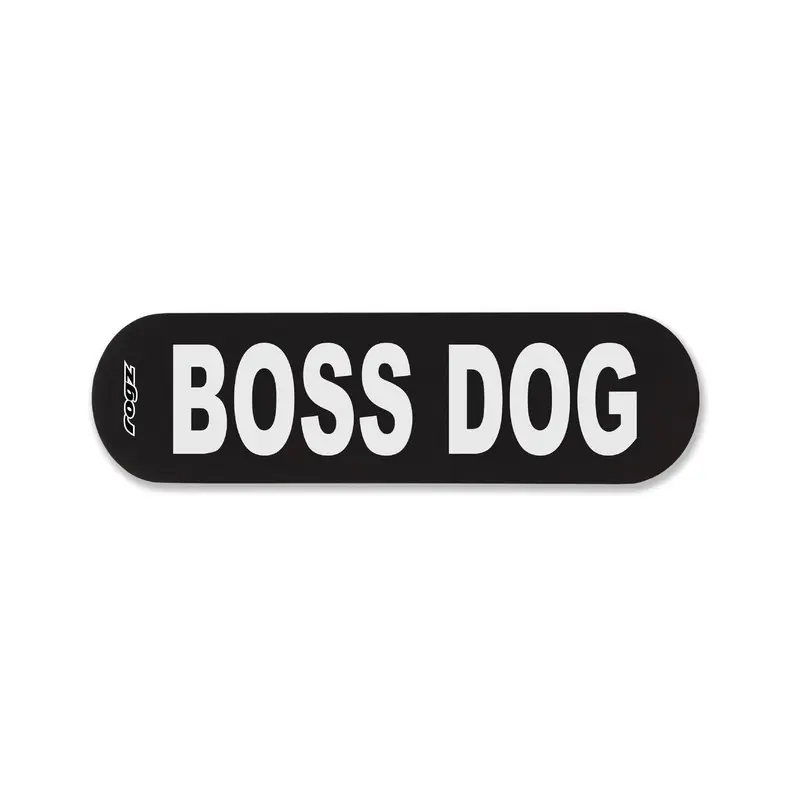 Rogz Pre-Made Badge Boss Dog Lge :->>