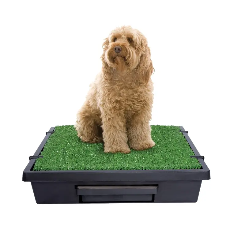 PetSafe The Pet Loo Medium Portable Toilet for Dogs :->>