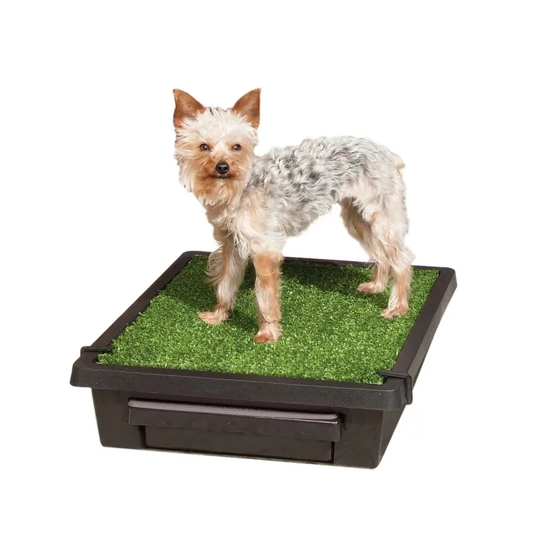 PetSafe The Pet Loo Small Portable Toilet for Dogs :->>