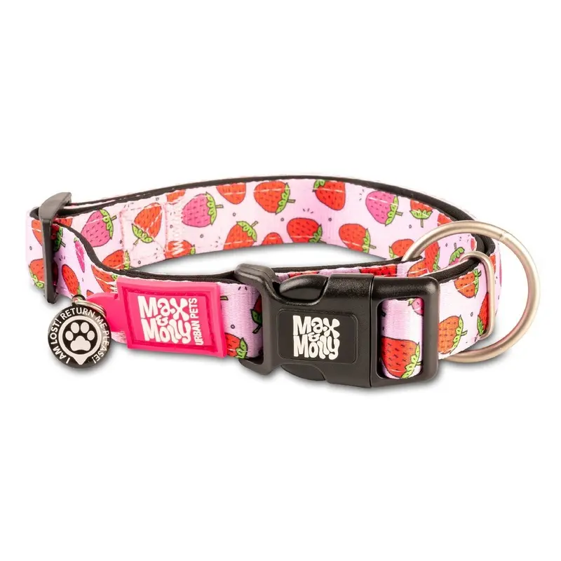 Max & Molly Strawberry Dream Smart ID Dog Collar Extra Small