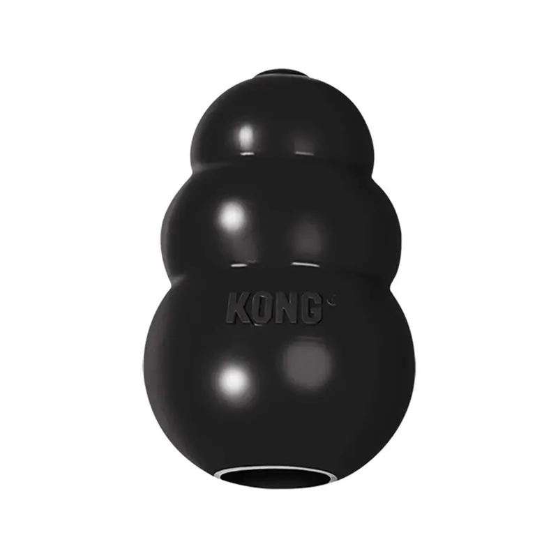 KONG Extreme Small Dog Toy :->>