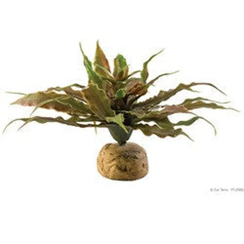 Exo Terra Plant, Star Cactus Pt2982