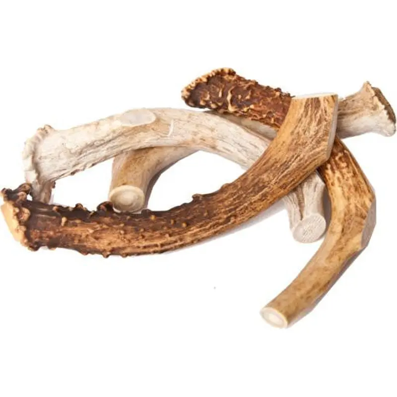Best Buy Bones Inc. American Jumbo Elk Antler 9-11" Packaged 