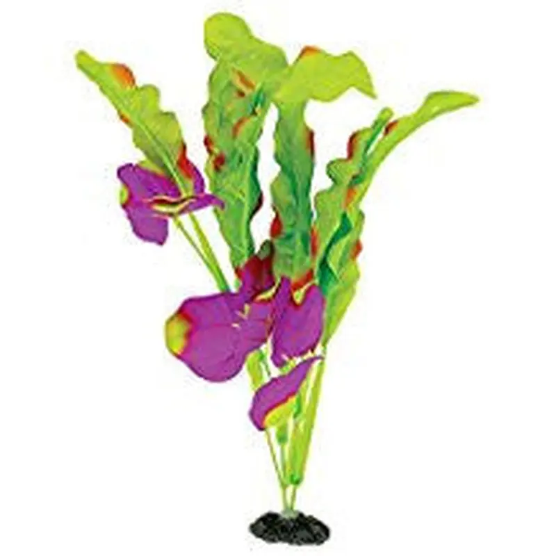 Marina Naturals Green and Indigo Waffleleaf Plant Medium Pp108