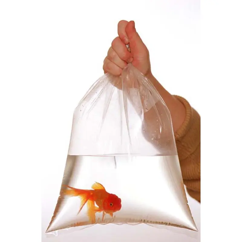 Rutan Poly Industries Fish Bags Clear 2mm 9 InchesX 15 Inches, 1000 Bag