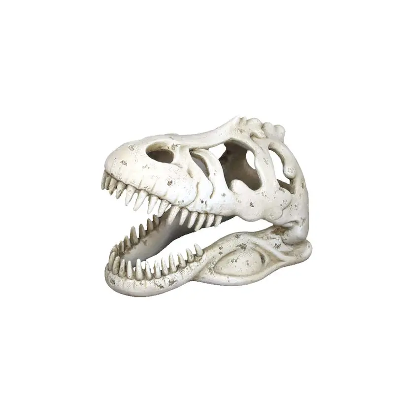 Weco Wecorama Catacombs T-REX Skull Aquarium Ornament White