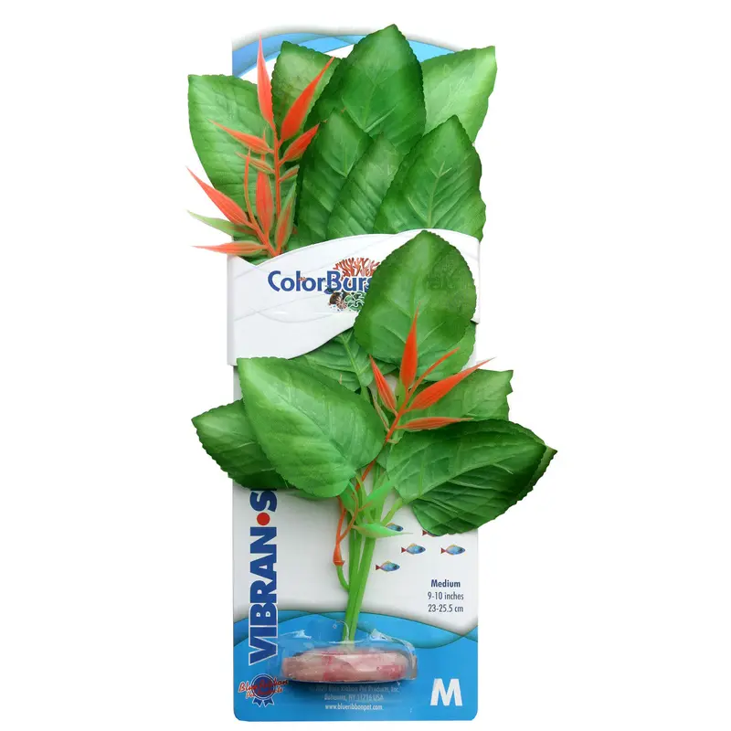 Blue Ribbon Colorburst Florals Marshwood Aquarium Plant Green MD