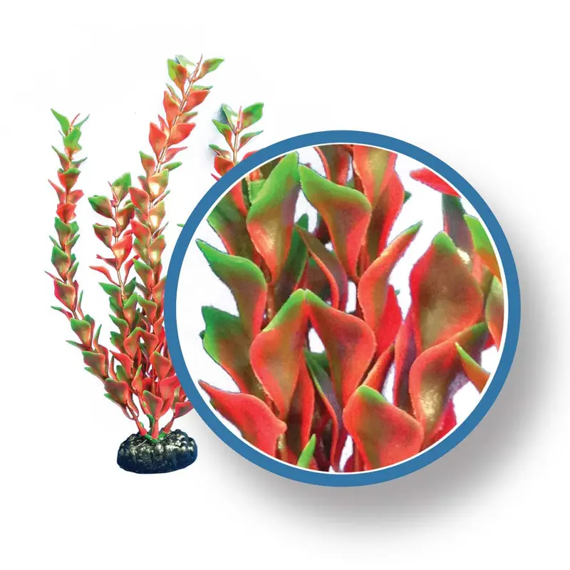 Weco Freshwater Pro Series Ludwigia Aquarium Plant Red 18 in