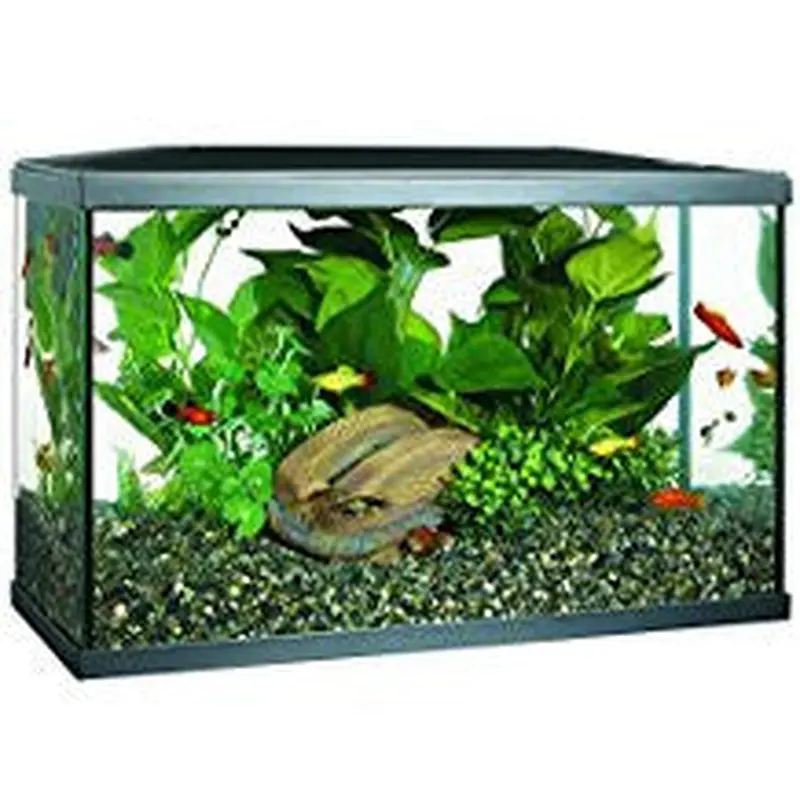 Marina 10 Gallon Led Aquarium Kit, 10 Gal
