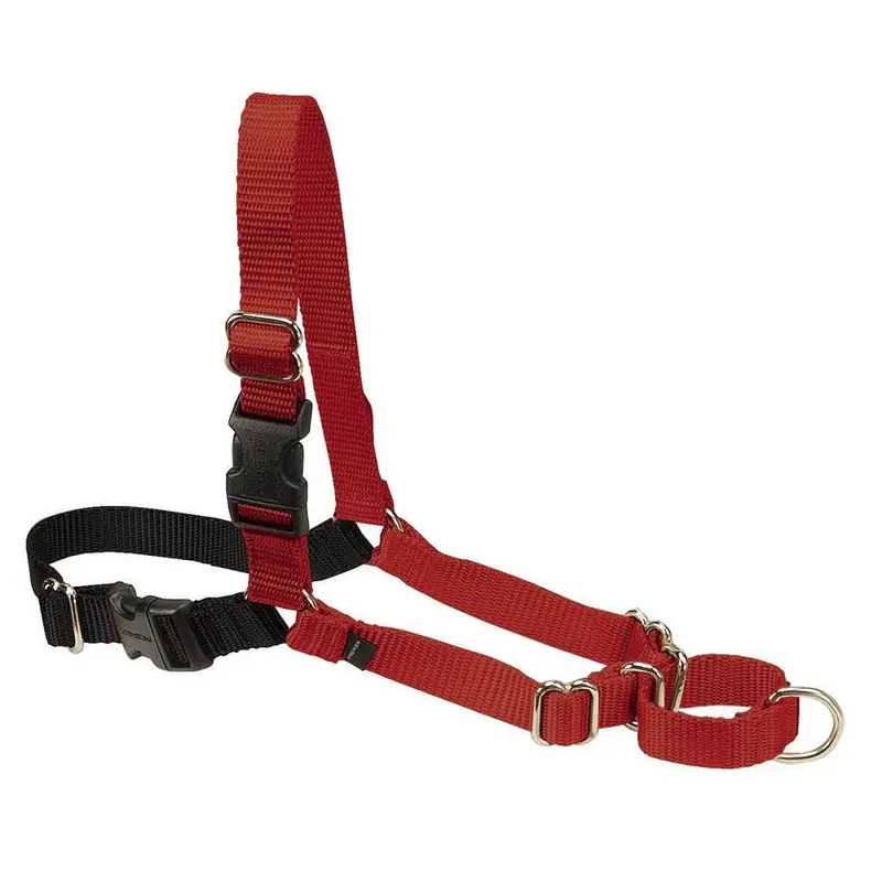 PetSafe Easy Walk Dog Harness Black/Red LG