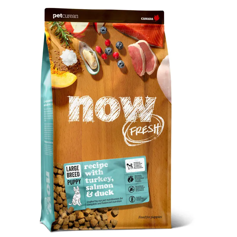 Now Fresh Grain Free Large Breed Puppy Recipe 25 lb