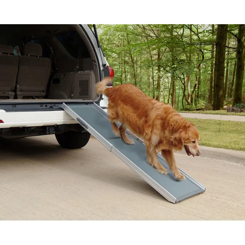 PetSafe Happy Ride Telescoping Pet Ramp for Dogs Grey Regular