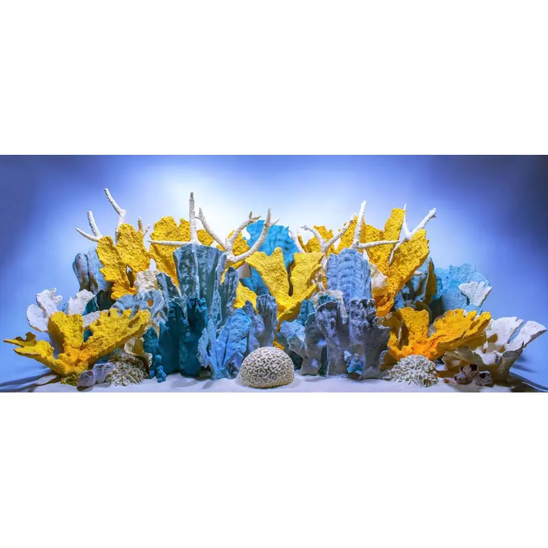 Seaview Double Sided Background Coral Bliss & Luscia Reef 18 Inches X 50 Feet