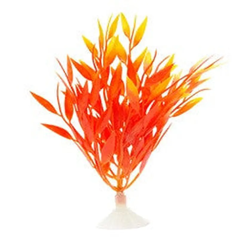 Marina Betta Fire Grass 5in 12094