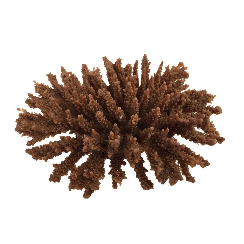 Weco South Pacific Coral Tabletop Ornament Brown SM