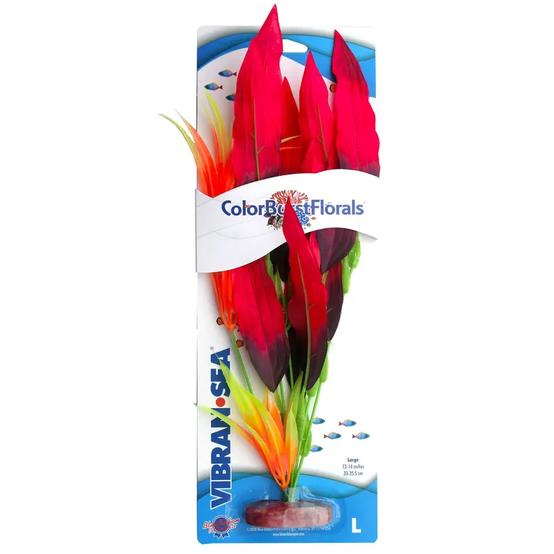 Blue Ribbon Colorburst Florals Amazon Sword Aquarium Plant Red LG