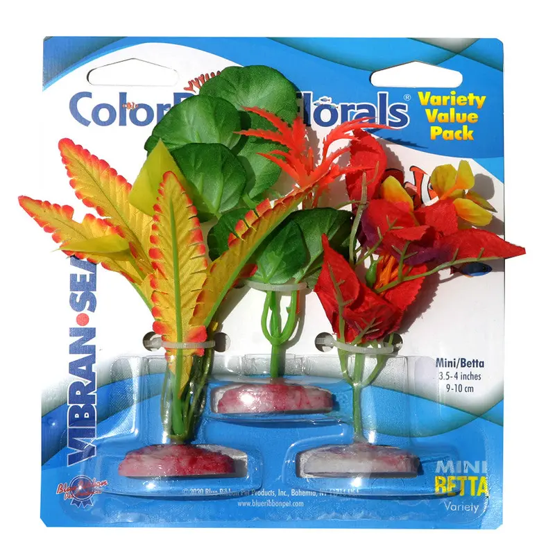 Blue Ribbon Colorburst Florals Betta Plants Variety Pack Mini
