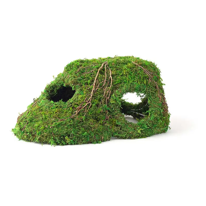 Galapagos Sapa Corner Hide Terrarium Hideaway Fresh Green 10 in