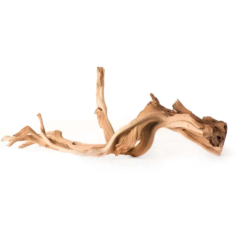 Galapagos Staghorn Wood Manzanita Root Brown 13 in - 18 in