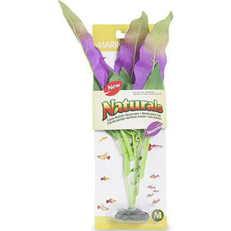 Marina Naturals Indigo and Green Sword Leaf Plant Medium Pp111