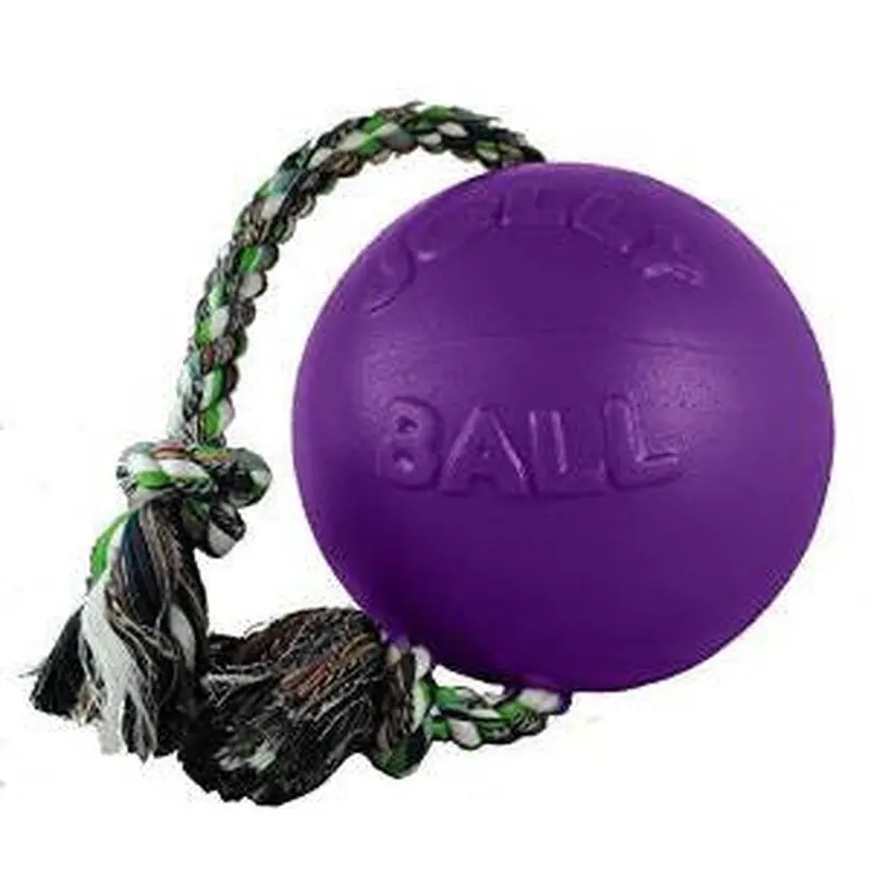 Jolly Pets Romp-N-Roll Purple 6" 