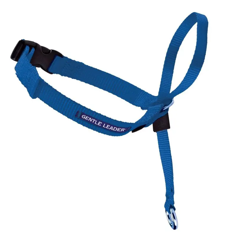 PetSafe Headcollar No-Pull Dog Collar Royal Blue SM