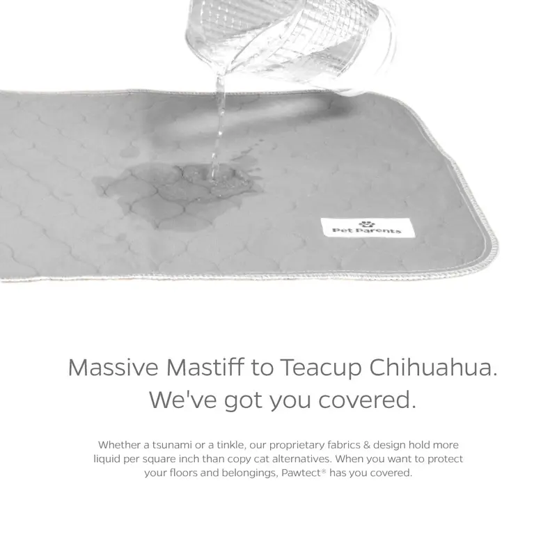 Pet Parents Pawtect Pad Grey Medium 1Pk