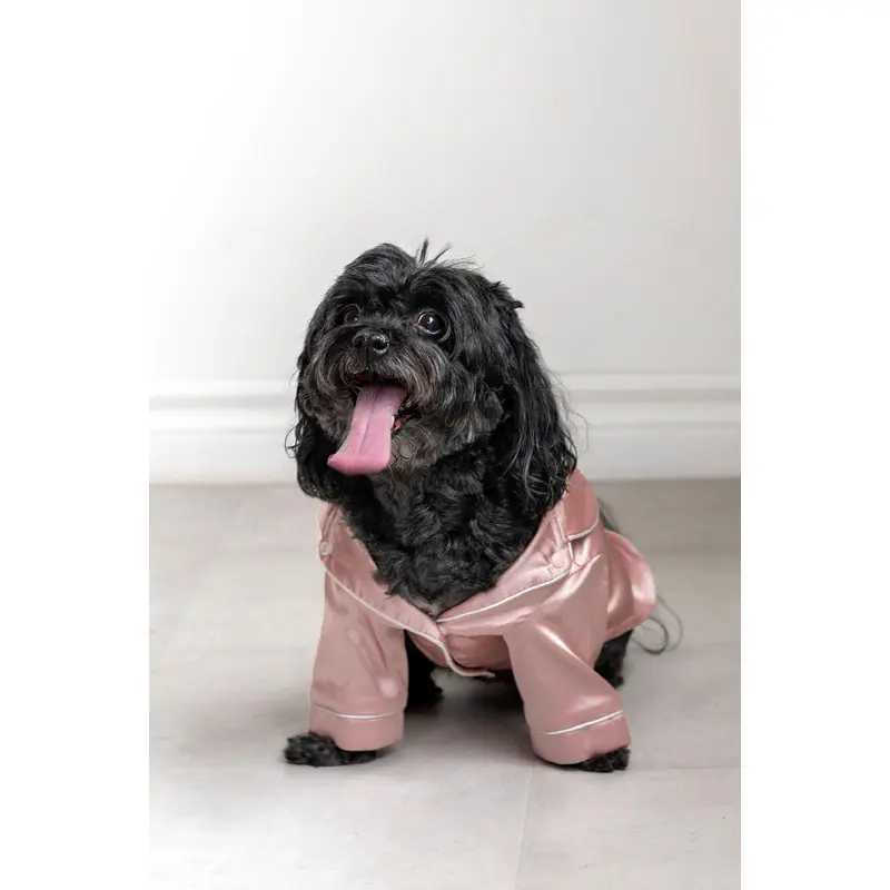 Talula Pet Pajama Set