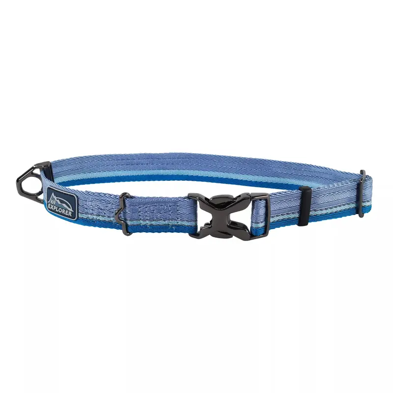 Costal K9 Explorer Trek Adjustable Dog Collar - Large   18-26" - Glacier