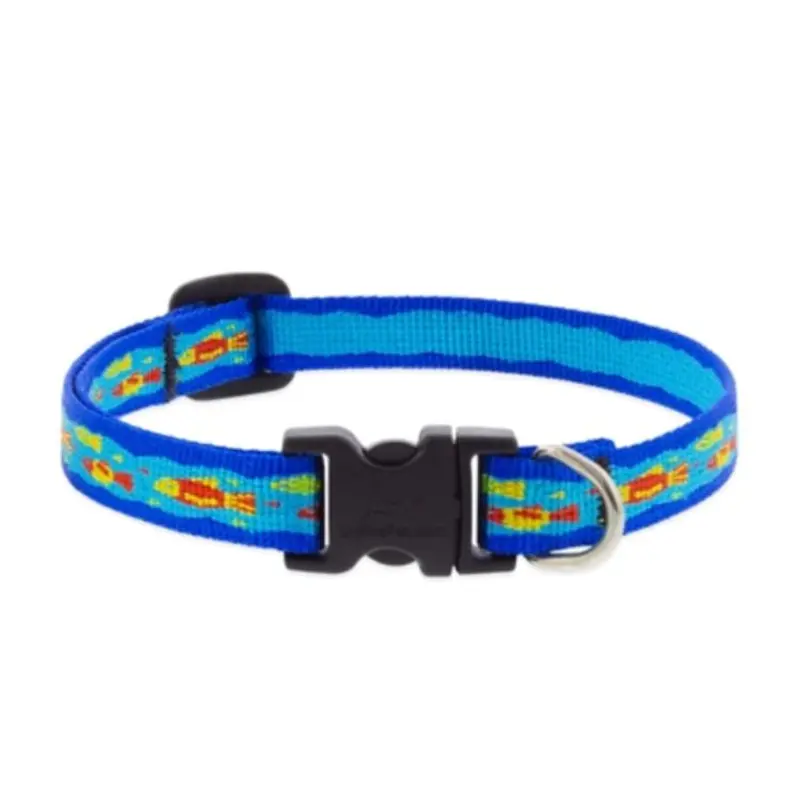 Lupine Pet Dog Collar 1/2" x 10"-16" Wee Fishies