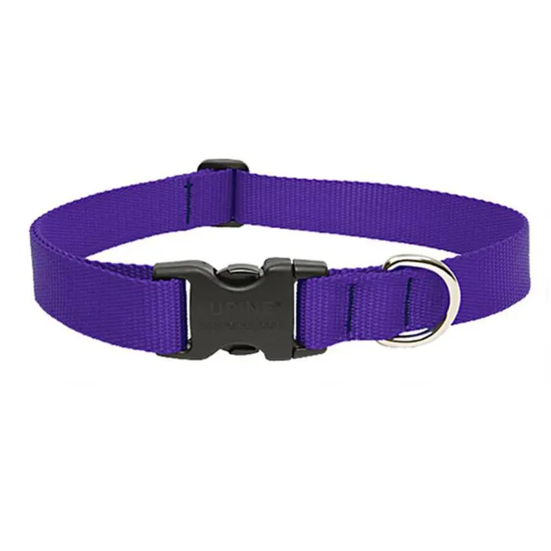 Lupine 1" Collar 16"- 28" Adj Purple