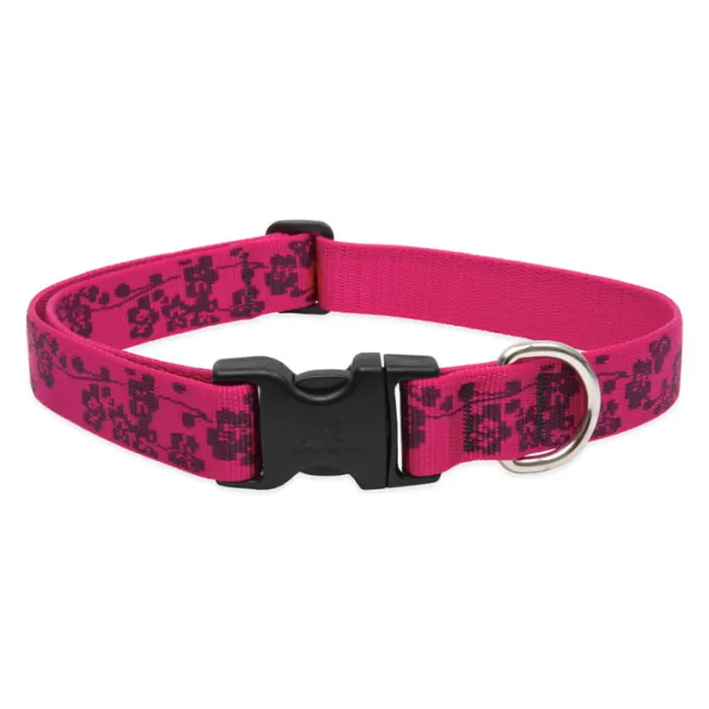 Lupine Pet Dog 1 In Wide 16-28 In Adjustable Collar Original Designs Plum Blosson