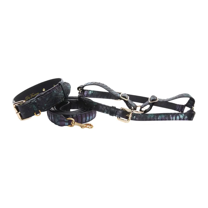 Black, Green, Purple Snake Classic Collar, Leash, Harness Set