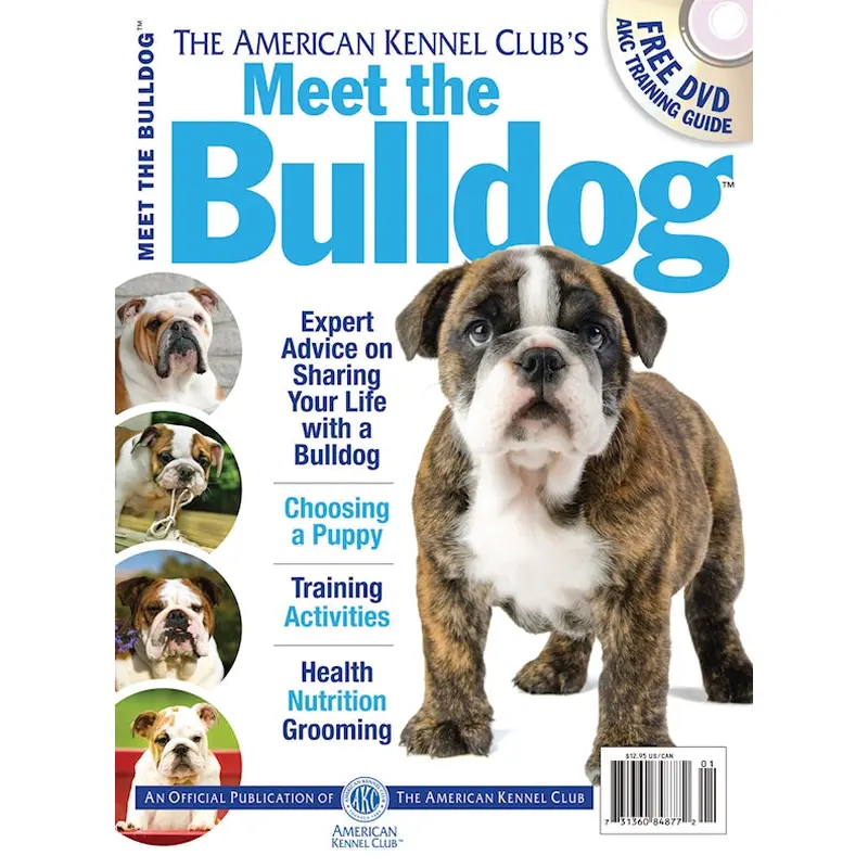 Meet the Bulldog