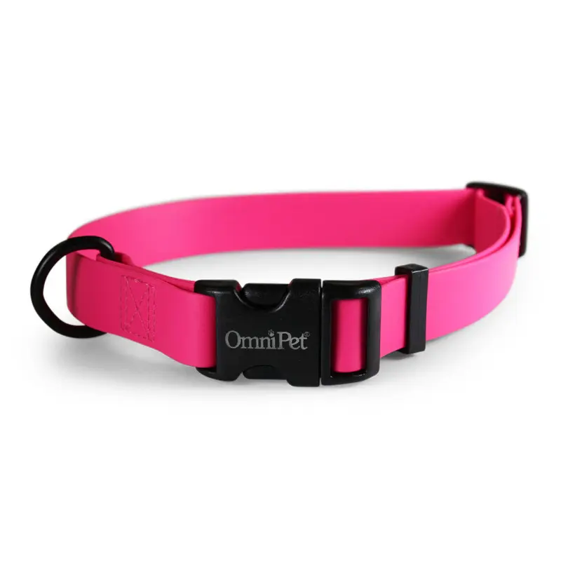 Raspberry Carnival Biothane Dog Collar / Lead