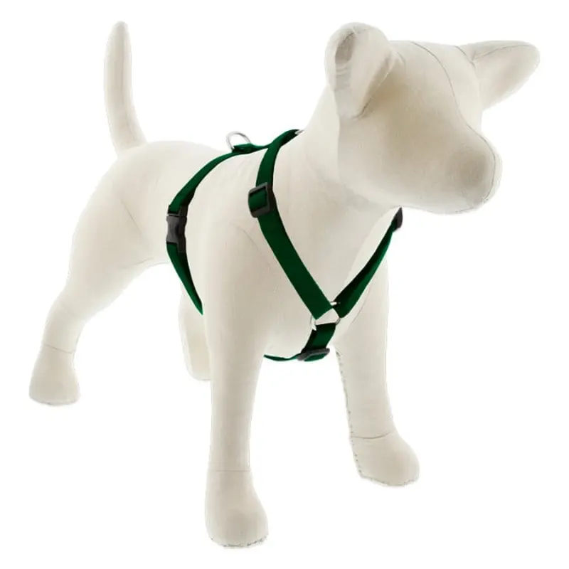 Lupine Pet Dog 3/4 In Wide 12-20 In Roman Harness Basics Green