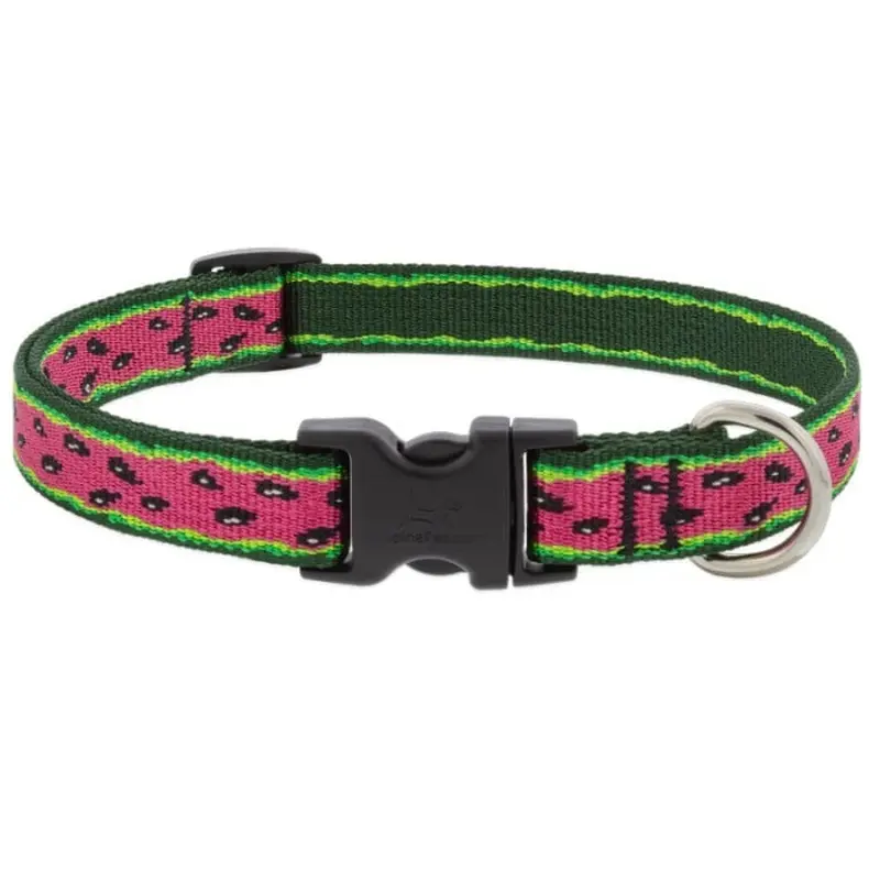 Lupine MicroBatch Safety Adjustable Dog Collar 3/4"x 13"-22" Watermelon