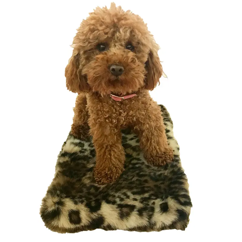 Crate Liner, Animal Plush